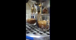 FAEMA VELOX Espresso machine in Taster’s Garage