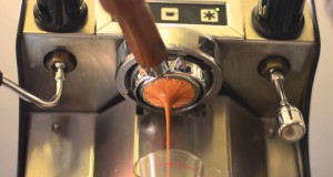 Salvatore Famosa Professional Semi Automatic Espresso Machine