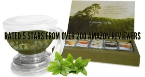 Zen Formosa Tea Maker for Loose Leaf and Coffee Instant Brew Flower Chai Perfect Teapot with Infuser